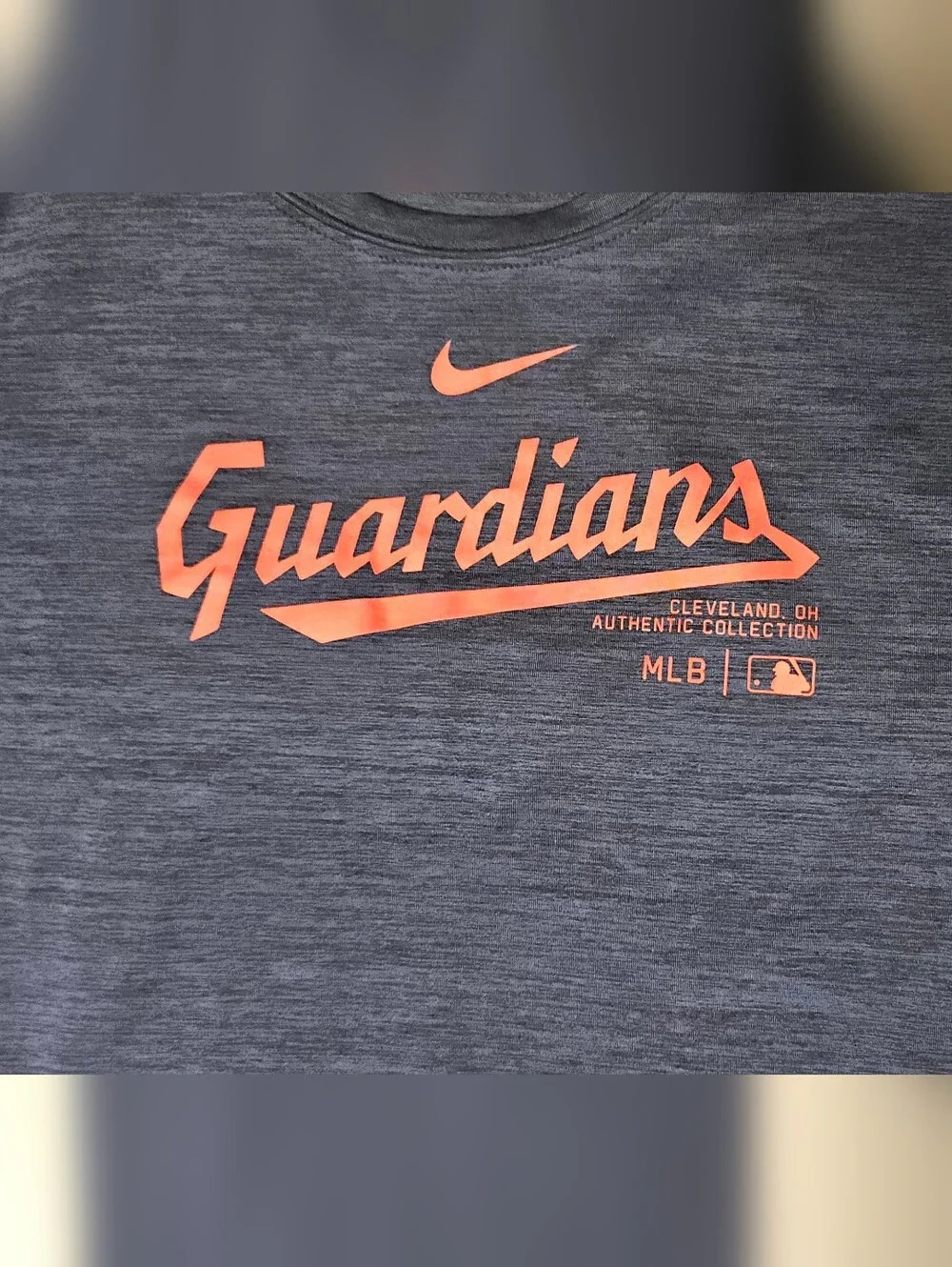 Nike Authentic Collection Cleveland Guardians Dri-Fit T Shirt